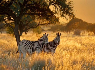 Destinatii Exotice: Africa de Sud